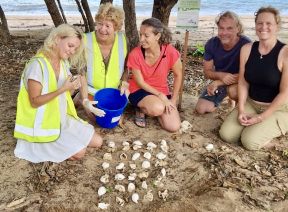 Sea turtle underwater